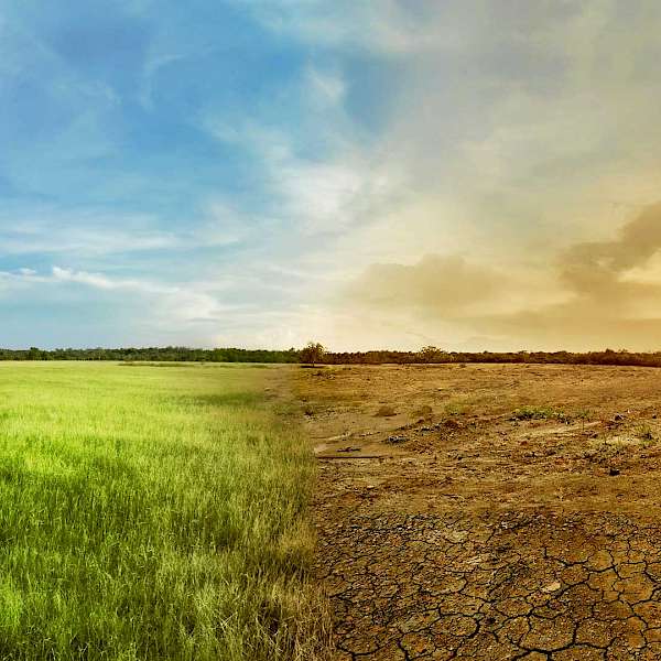 Agroecology May Enable Us To Feed The World
