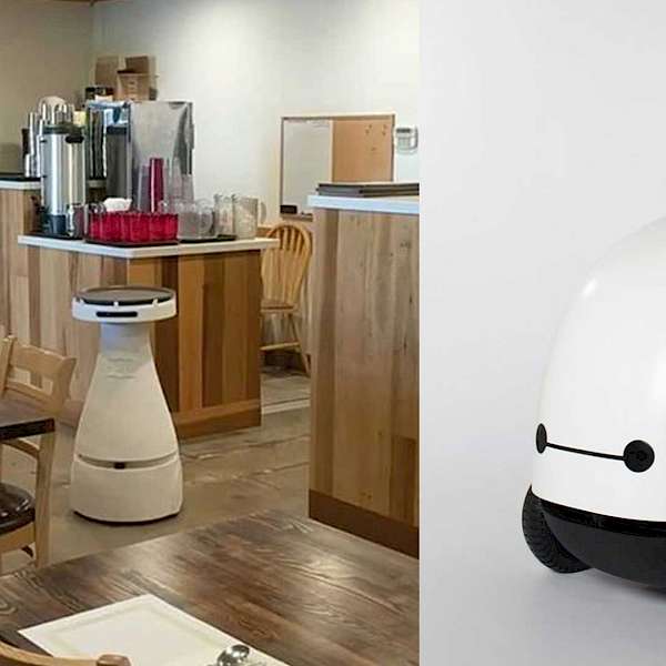 A Restaurant Robot Coming To A Food Mall Near You