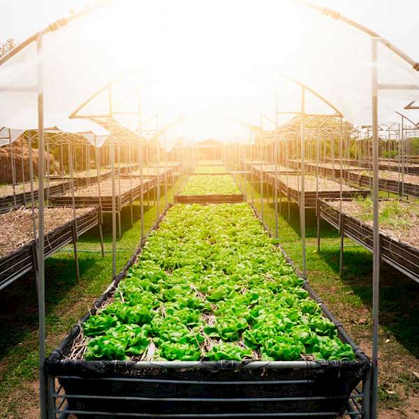 Local Farmers Get A New Tool
