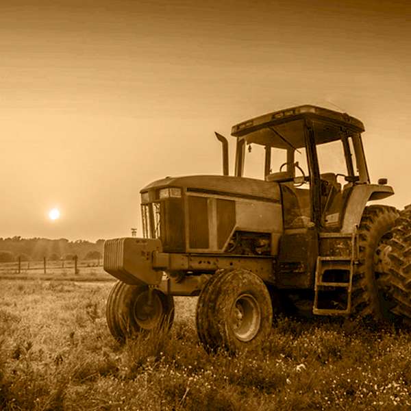 Why Our Farms Are Disappearing