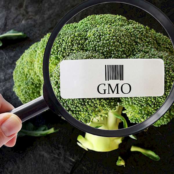 What Will Happen After We Have GMO, or BE, Food Labels?