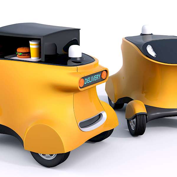 Would You Bully A Delivery Robot?