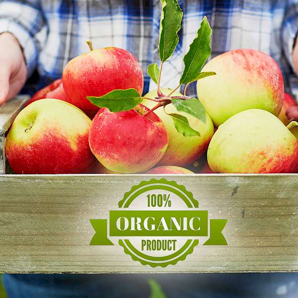 Does Eating Organic Food Reduce Cancer Risk?