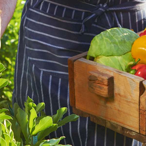 Why We Must Demand A Clear Definition For “Natural”