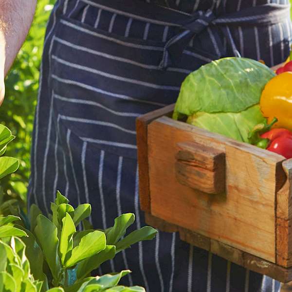 The World's Top 10 Countries for Sustainable Food
