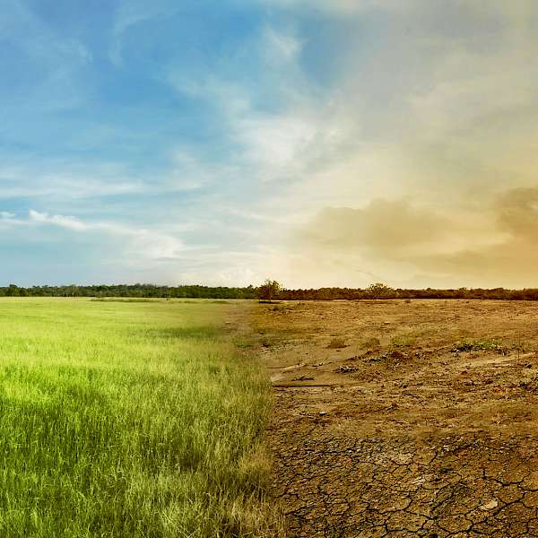 Scientists Urge “Collective Action” To Avert Climate Change Catastrophe