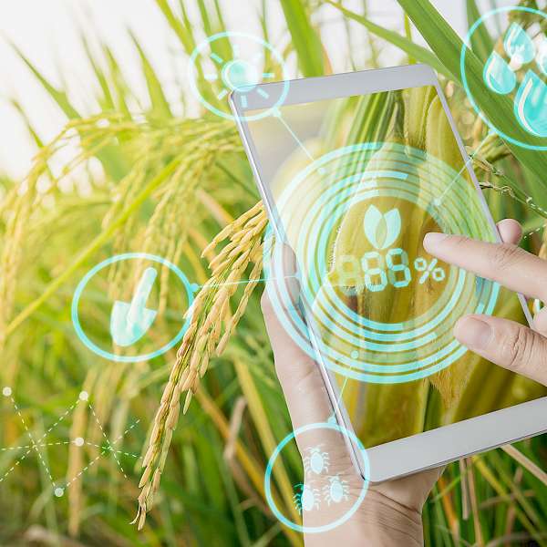 Food Technologies Are Keeping Our Foods Longer