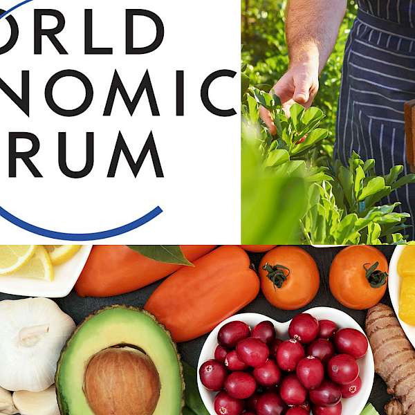 Three Ways To Fix Our Food System