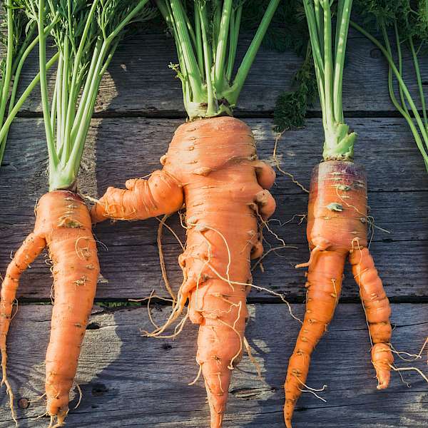 The Ugly Produce Movement May Have A Problem