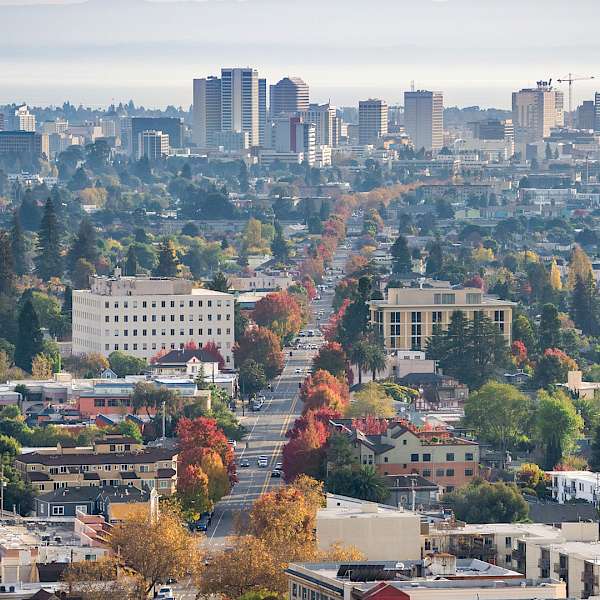Sustainable Urban Agriculture Could Also Offer Environmental, Health, and Social Benefits