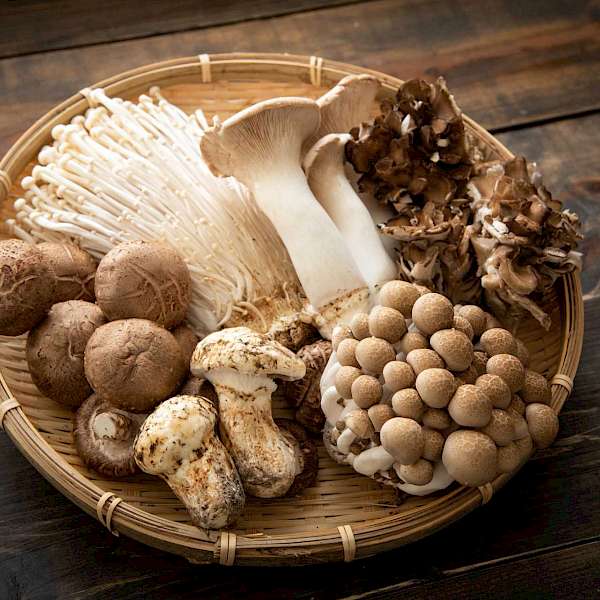 Future Food Mushrooms and A Winning Recipe!