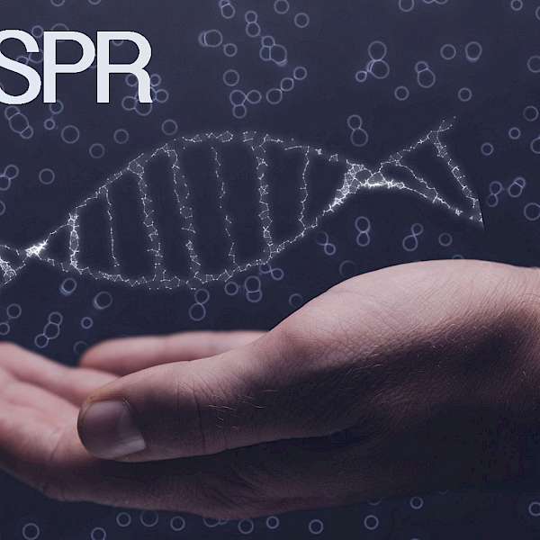 2019 Is The Year For CRISPR