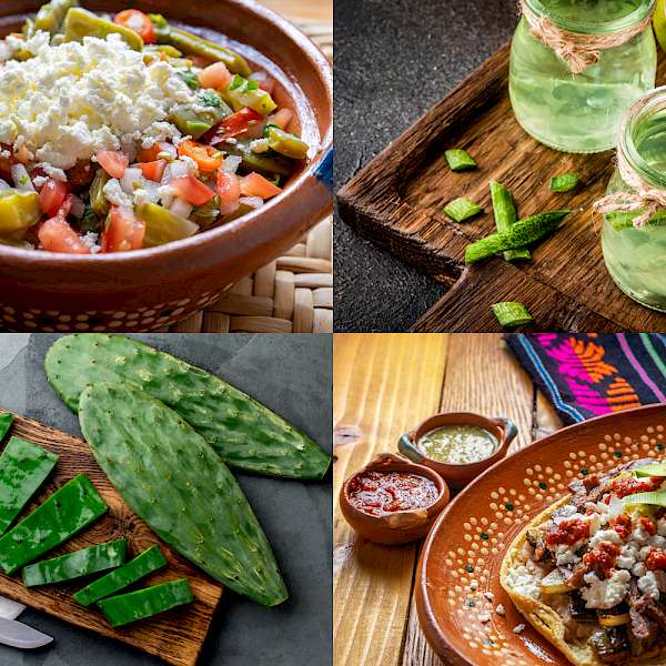 Cacti Looking Sharp on Your Dinner Plate!