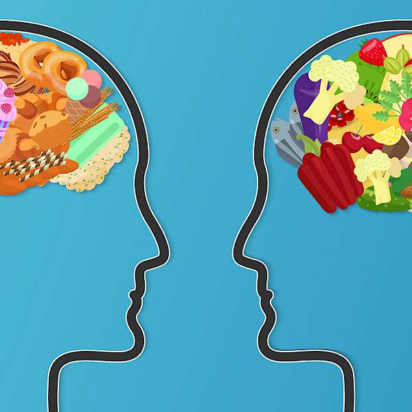 “You Are What You Eat” Includes Our Brains