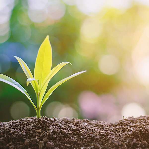 5 Modern Sustainable Food Buzz Words to Know