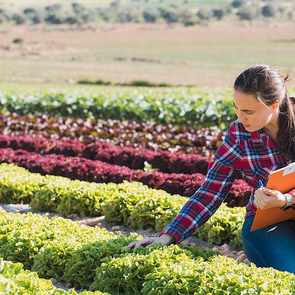 The Future of Agriculture is at Risk