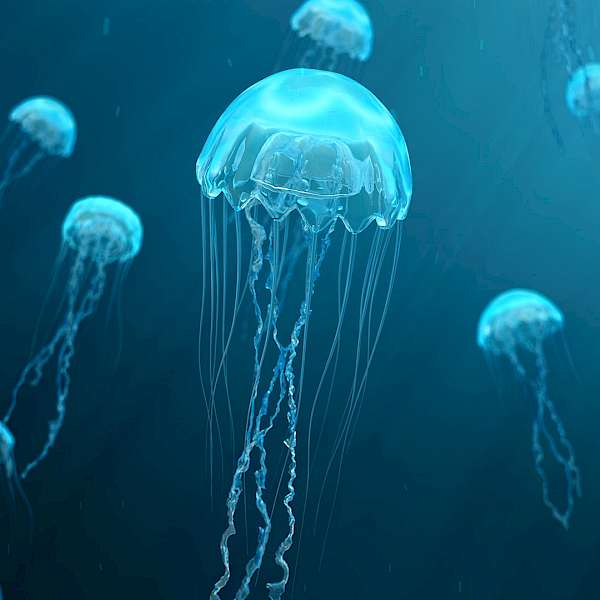 Pass Over that Bag of Jellyfish Crisps