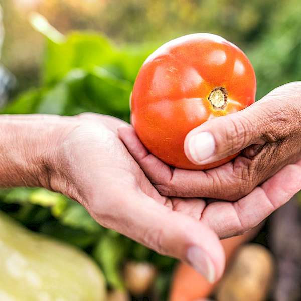 The Mind Body Connection Gets Stronger Through Food