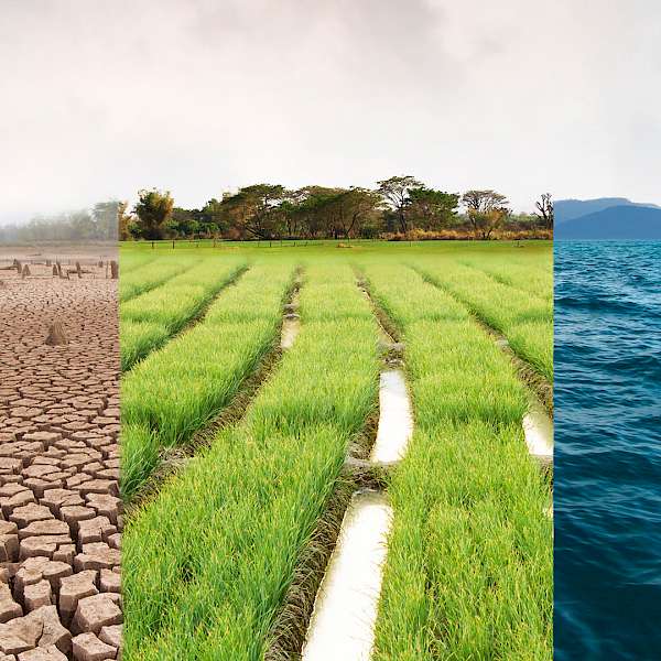 Are We Finally Waking up to Climate Change?