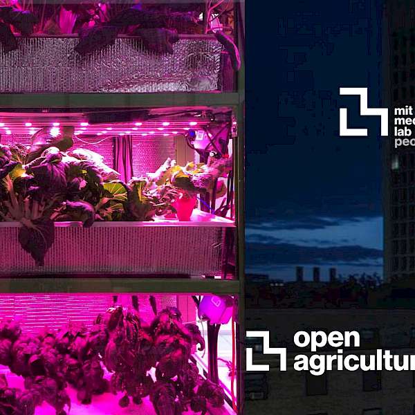 Has the M.I.T. Media Lab’s OpenAG Project Sent Us Backwards?