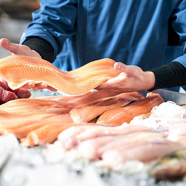 Seafood’s Biggest Problems May Be Soon Solved