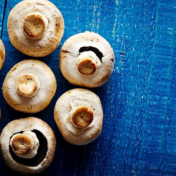 Mushrooms are Poised for the “It” Food in 2020