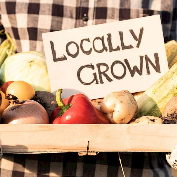 The Ultimate Fresh Grocerant Concept
