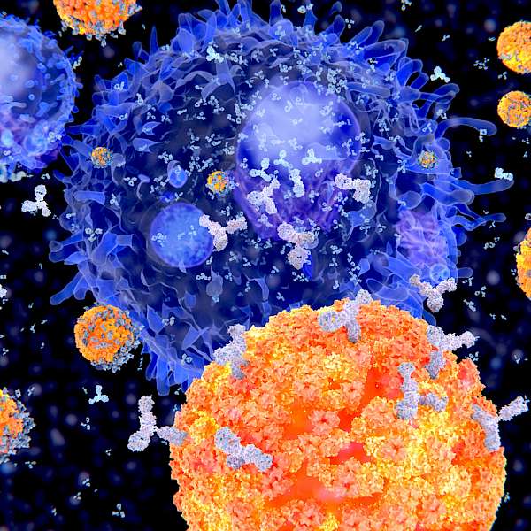 Shopping for Optimum Immune Health
