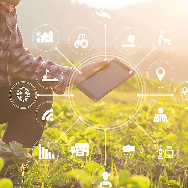 CPG Companies Go Supply Chain