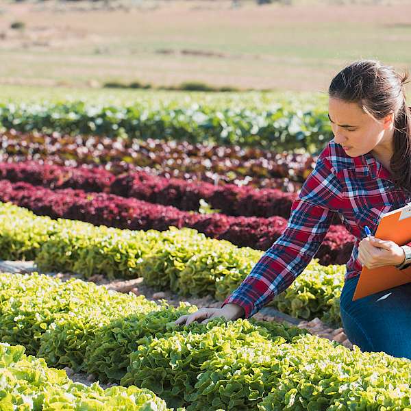 The Battle Between Farming and Farm Tech