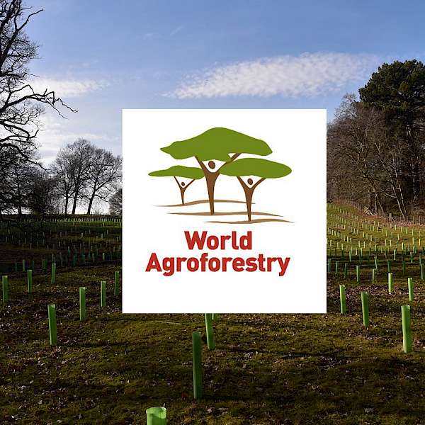 You Better Learn More about Agroforestry