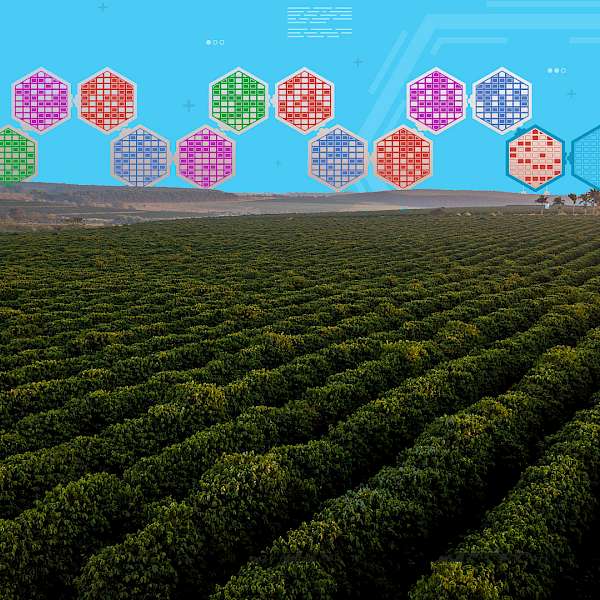 The Food Trust’s Blockchain is Finally Being Accepted As a Major Solution