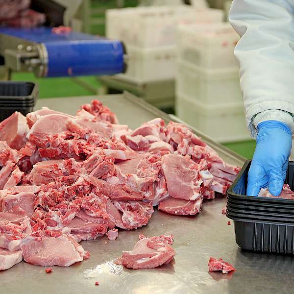 The Future of Meatpacking Is Apparent