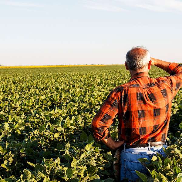 A New Opportunity for Farmers