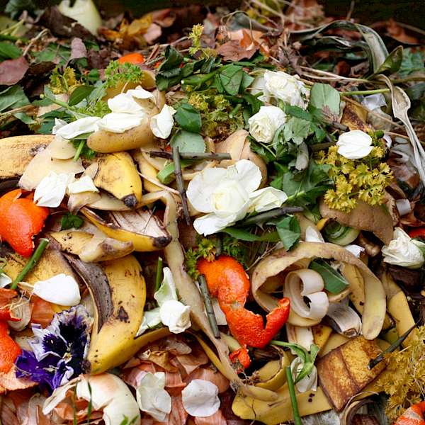 Another Food Waste Problem During Covid-19