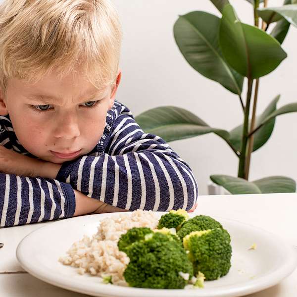 Have a Picky Eater?