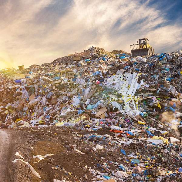 Covid-19 May Be Reducing Waste in Our Homes