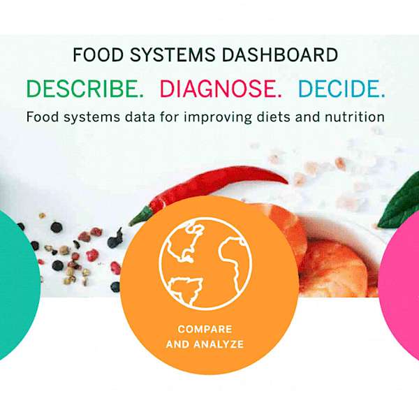 The Food Systems Dashboard Is Remarkable