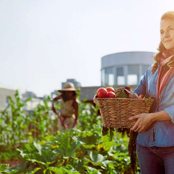 Do You Want To Be An Urban Farmer? Now There Is A Way