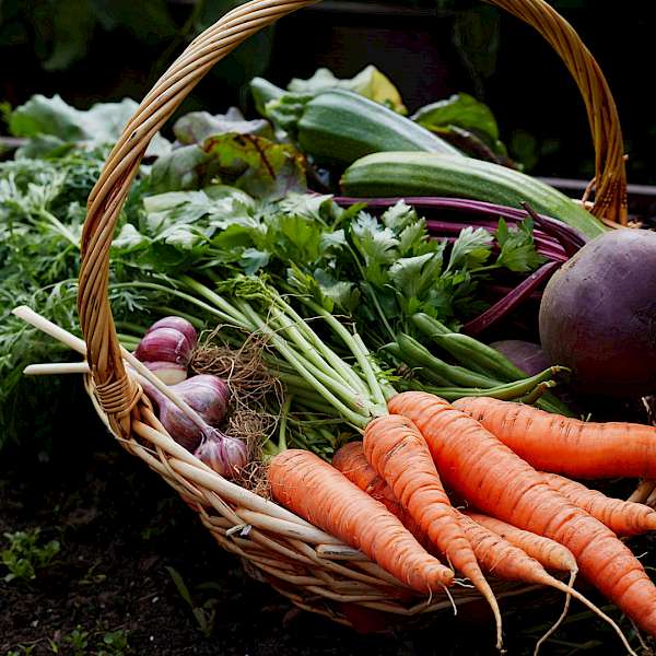 What We Can Look Forward To In Produce In 2021