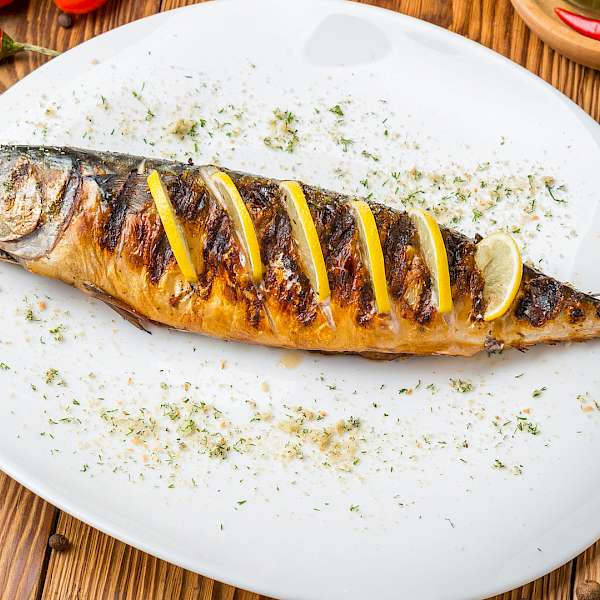 Scientists Call For Policymakers To Help Solve World Hunger With Fish