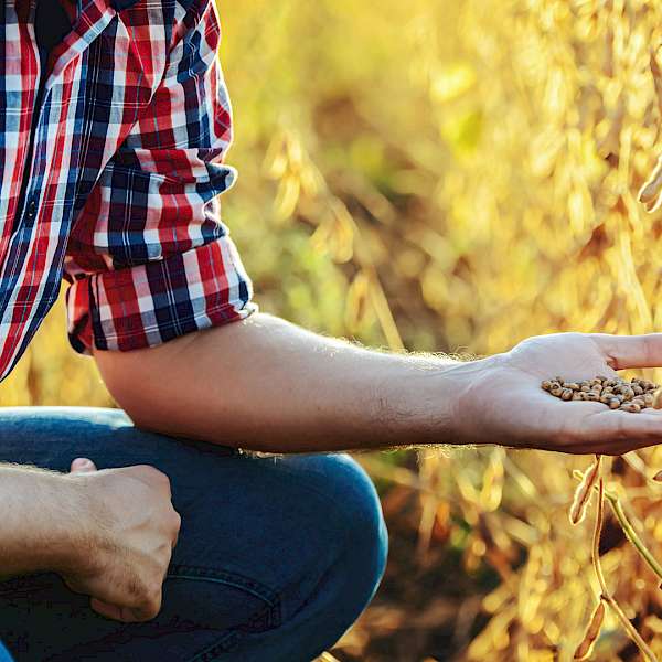 The Rodale Institute’s U.S. Organic Grain Initiative