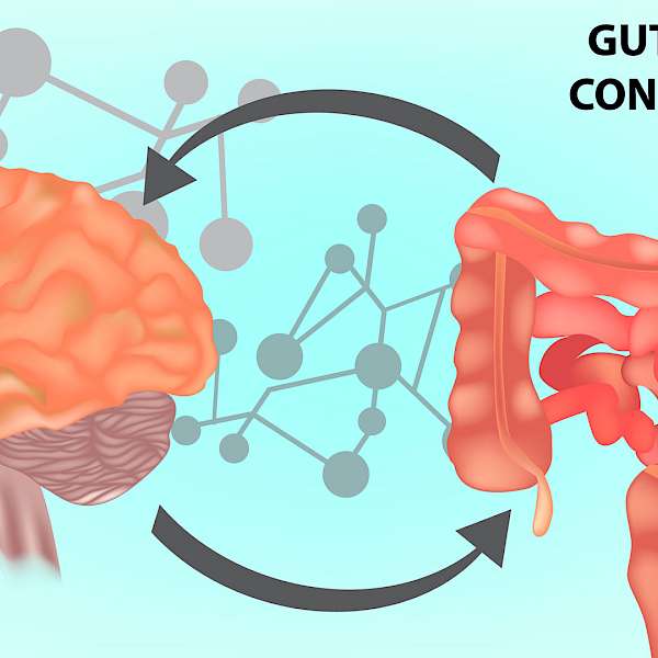 The Second Brain Might Be A Huge Opportunity for Supermarkets