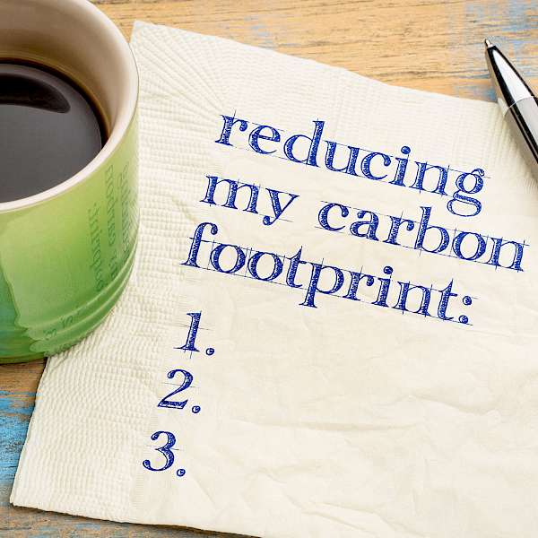 The Inequality Of Carbon Emissions