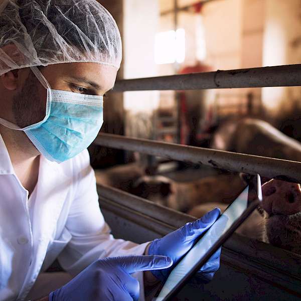 The Inequality for food and Ag Workers in the Pandemic