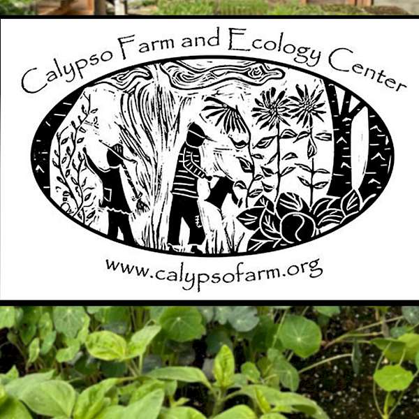 An Indoor Farm in Alaska that’s Designed to Alleviate Food Insecurity