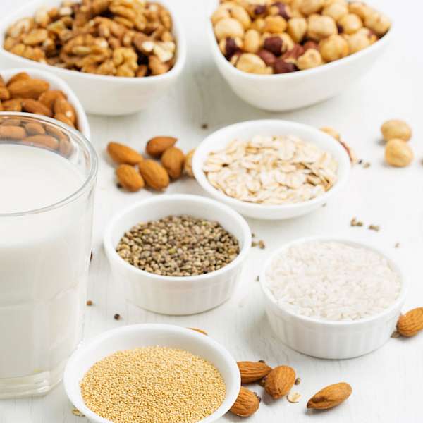 The Challenges for Plant Based Dairy Alternatives