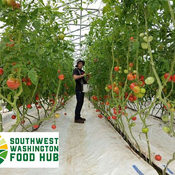 A Farmer-Owned Food Hub Connects Local Farms and Restaurants