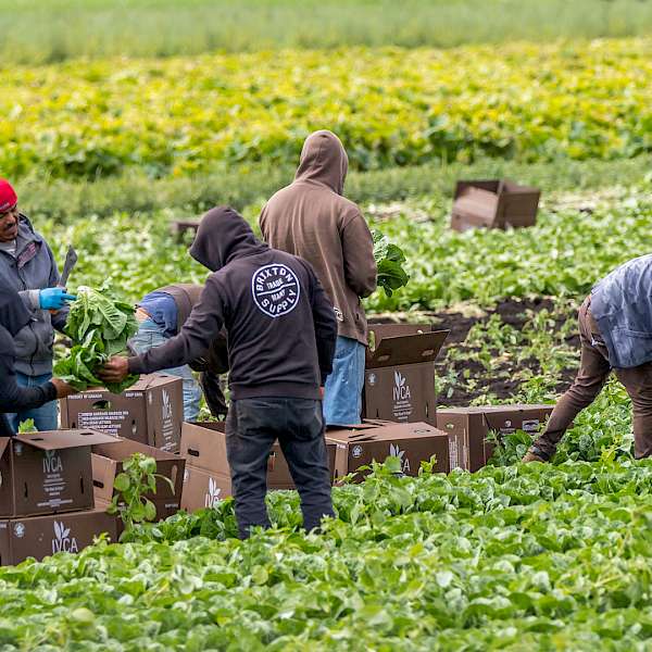 The Biggest Challenge of Farming Comes to Life