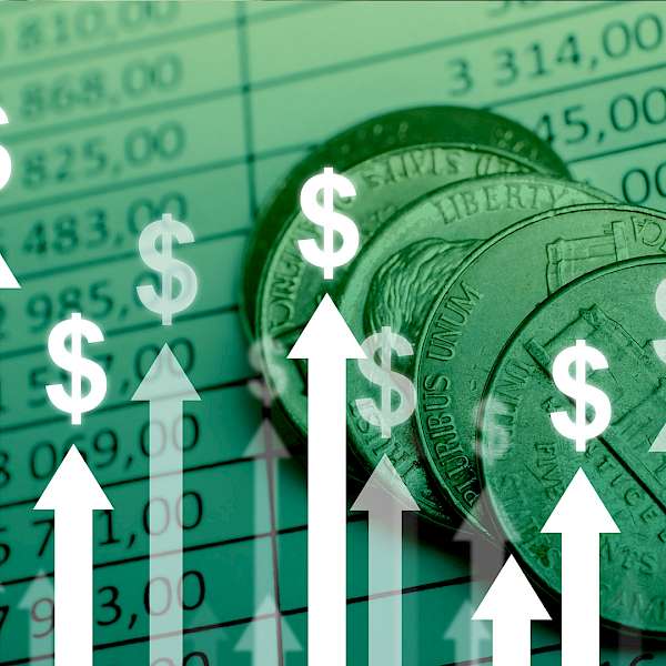 Price Elasticity vs. Shopper Reality